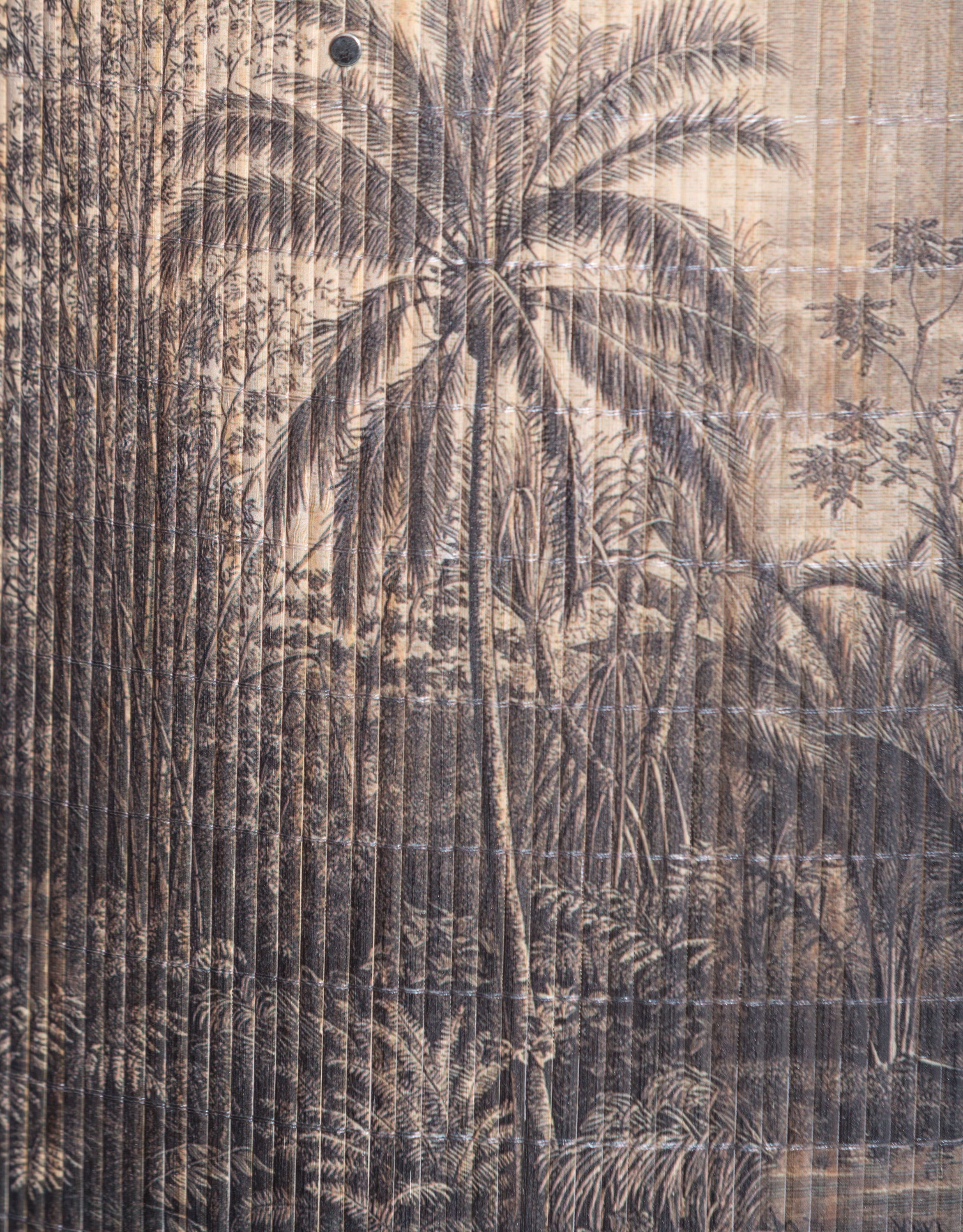 Tropical Scene Bamboo Shade